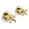 JTP Solex Brushed Brass Wall Mounted Side Valves (Pair) -Contemporary Taps Sales Store 66089BBR P