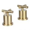 JTP Solex Brushed Brass Deck Mounted Panel Valves (Pair) -Contemporary Taps Sales Store 66809BBR P